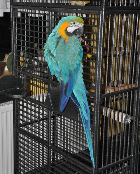 DSC_0237.JPG