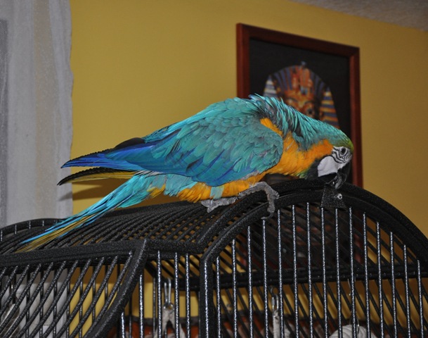 DSC_0238.JPG