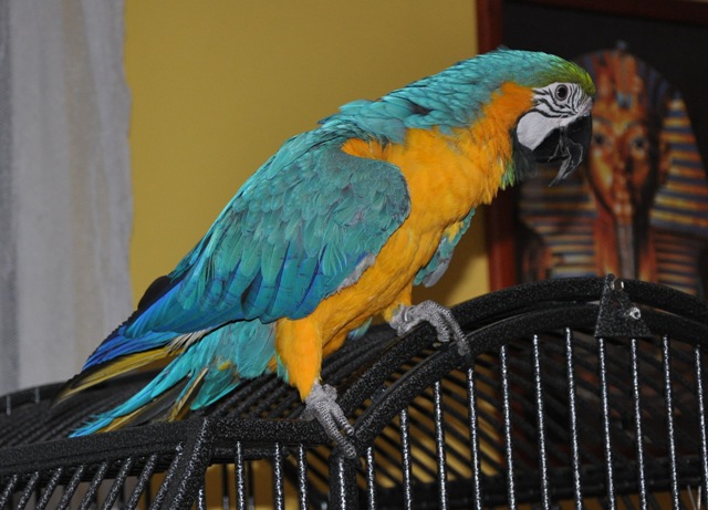 DSC_0240.JPG