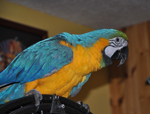 DSC_0241.JPG