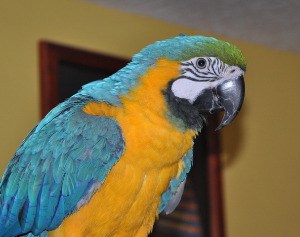 DSC_0242.JPG