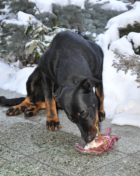 DSC_0254.JPG