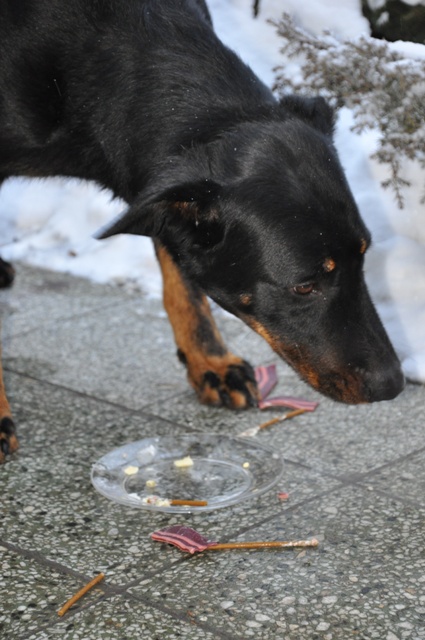 DSC_0266.JPG