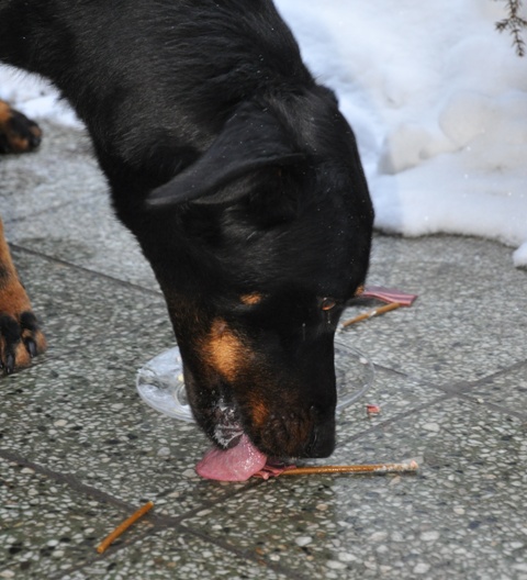 DSC_0267.JPG